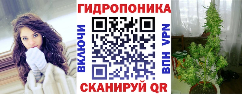 дарнет шоп Егорьевск Бошки Шишки конопля